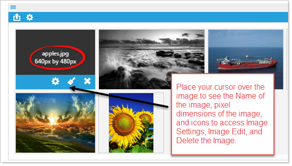 Gallery sample