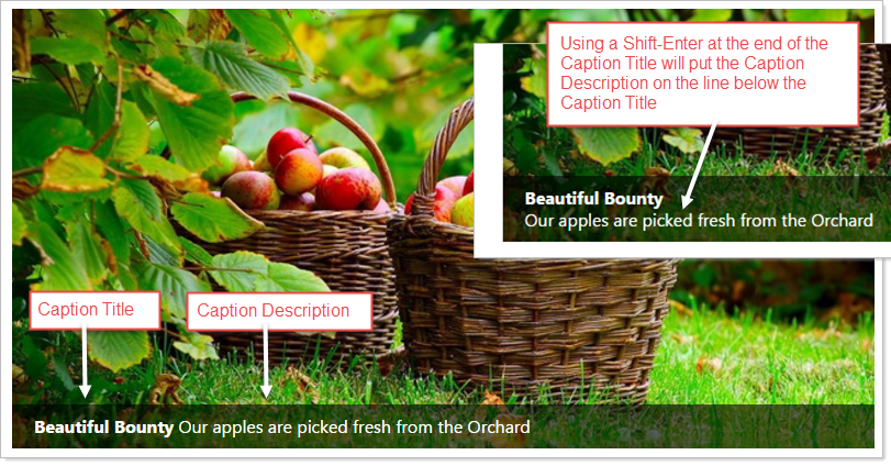 Description example