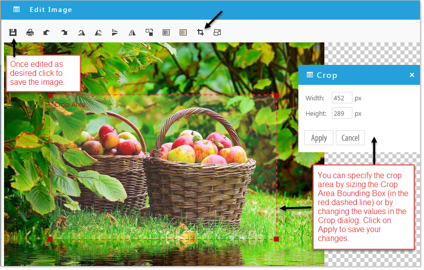 Image editor