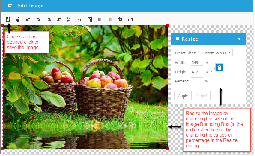 Resize an image dialog