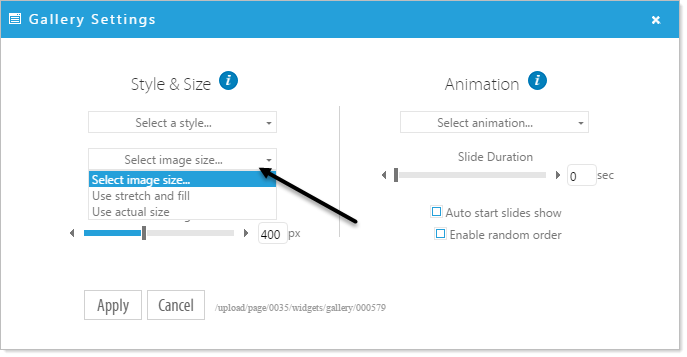 Size dialog