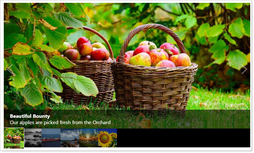 Slideshow with thumbnails