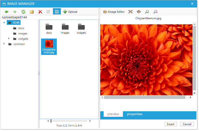 Image manager