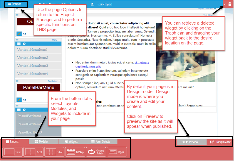 Project Manager Overview